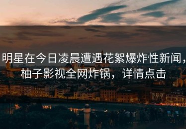 明星在今日凌晨遭遇花絮爆炸性新闻，柚子影视全网炸锅，详情点击