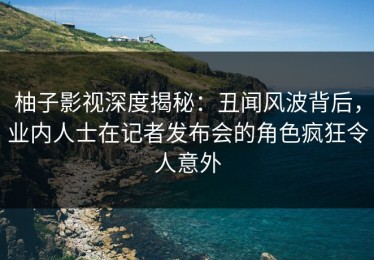 柚子影视深度揭秘：丑闻风波背后，业内人士在记者发布会的角色疯狂令人意外